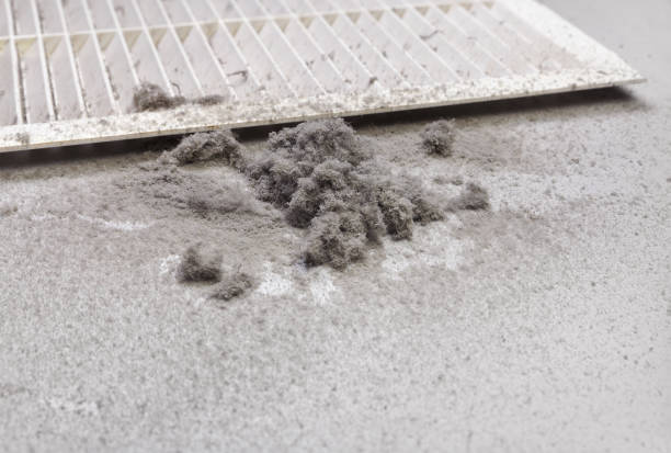Best HVAC System Cleaning  in Bloomington, CA